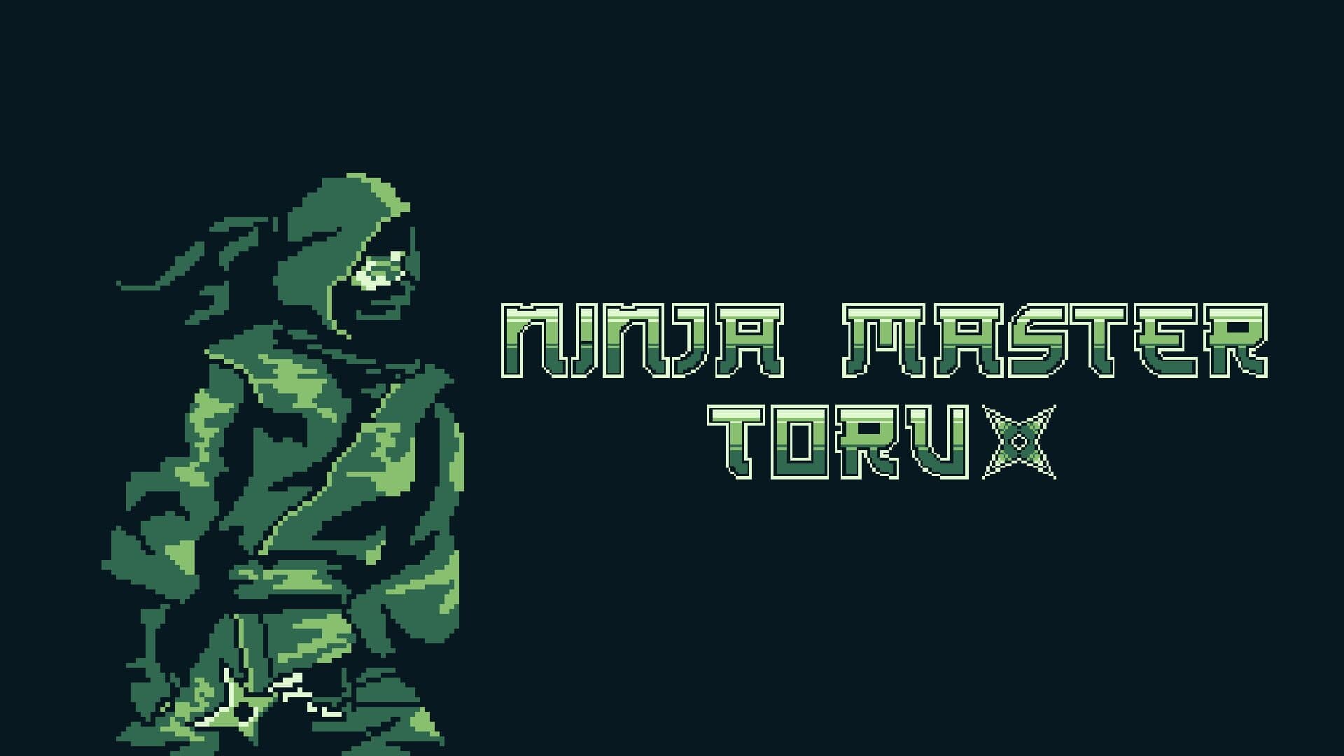 Ninja Master Toru