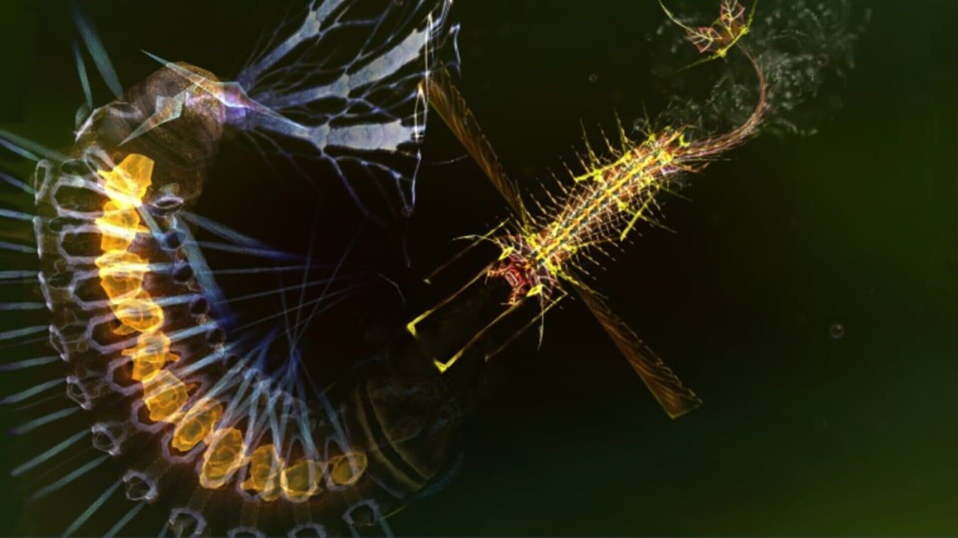 Sparkle 2 Evo screenshot 8