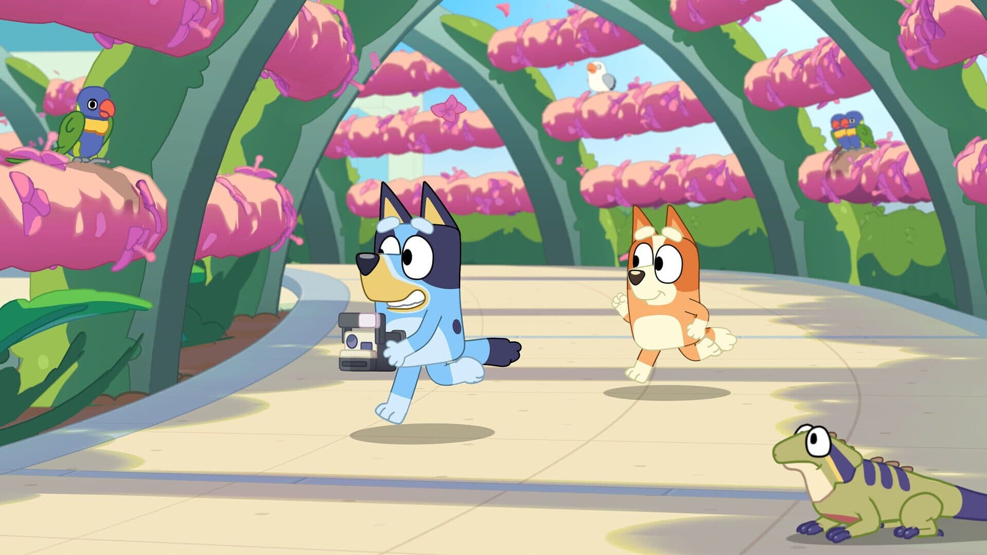 اسکرین‌شات Bluey's Happy Snaps - 1