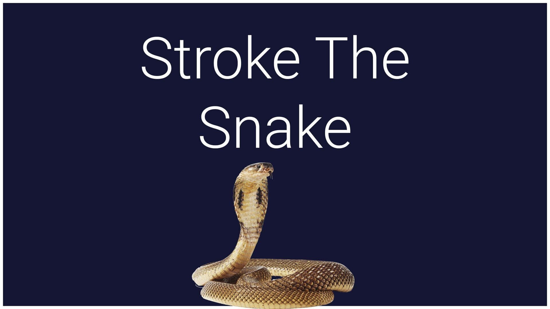 اسکرین‌شات Stroke the Snake - 1