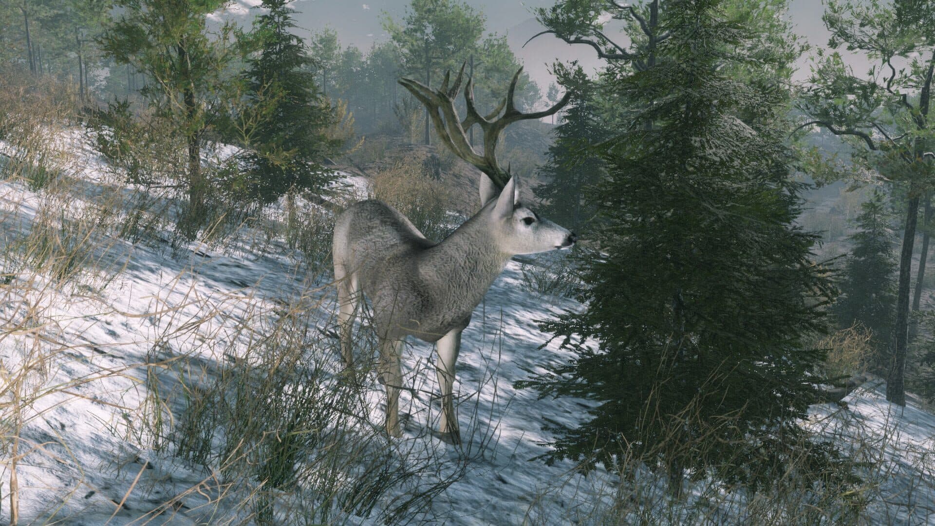اسکرین‌شات Pro Deer Hunting: Out West - 4