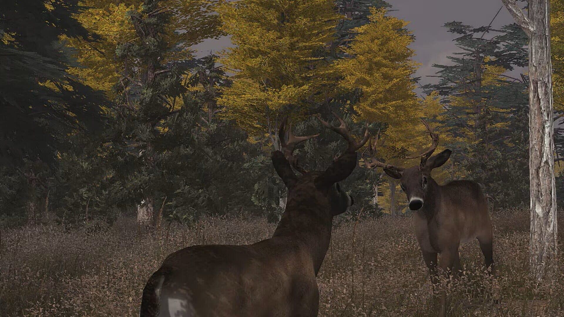 اسکرین‌شات Deer Simulator - 2