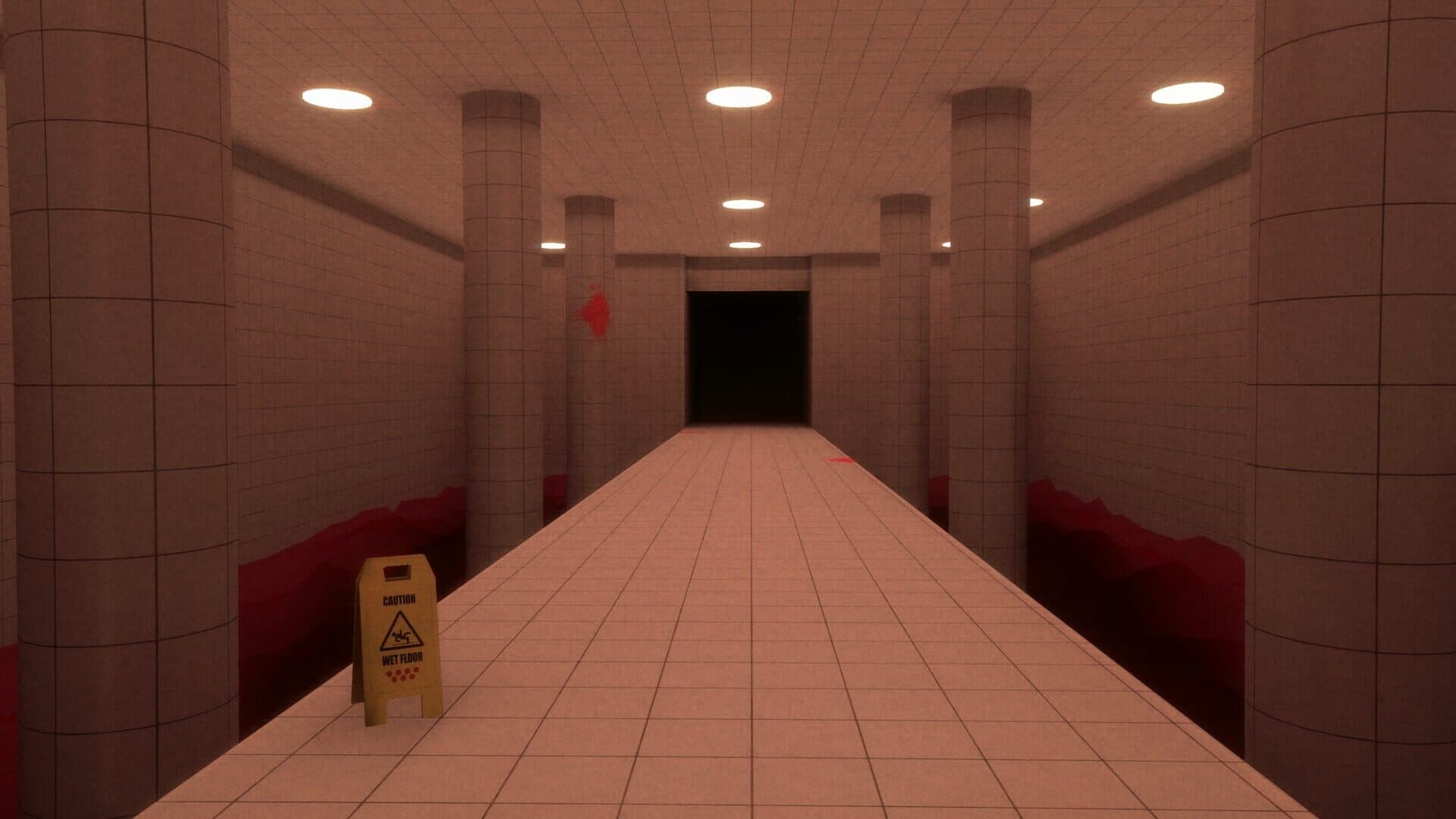 اسکرین‌شات Backrooms Level X - 4