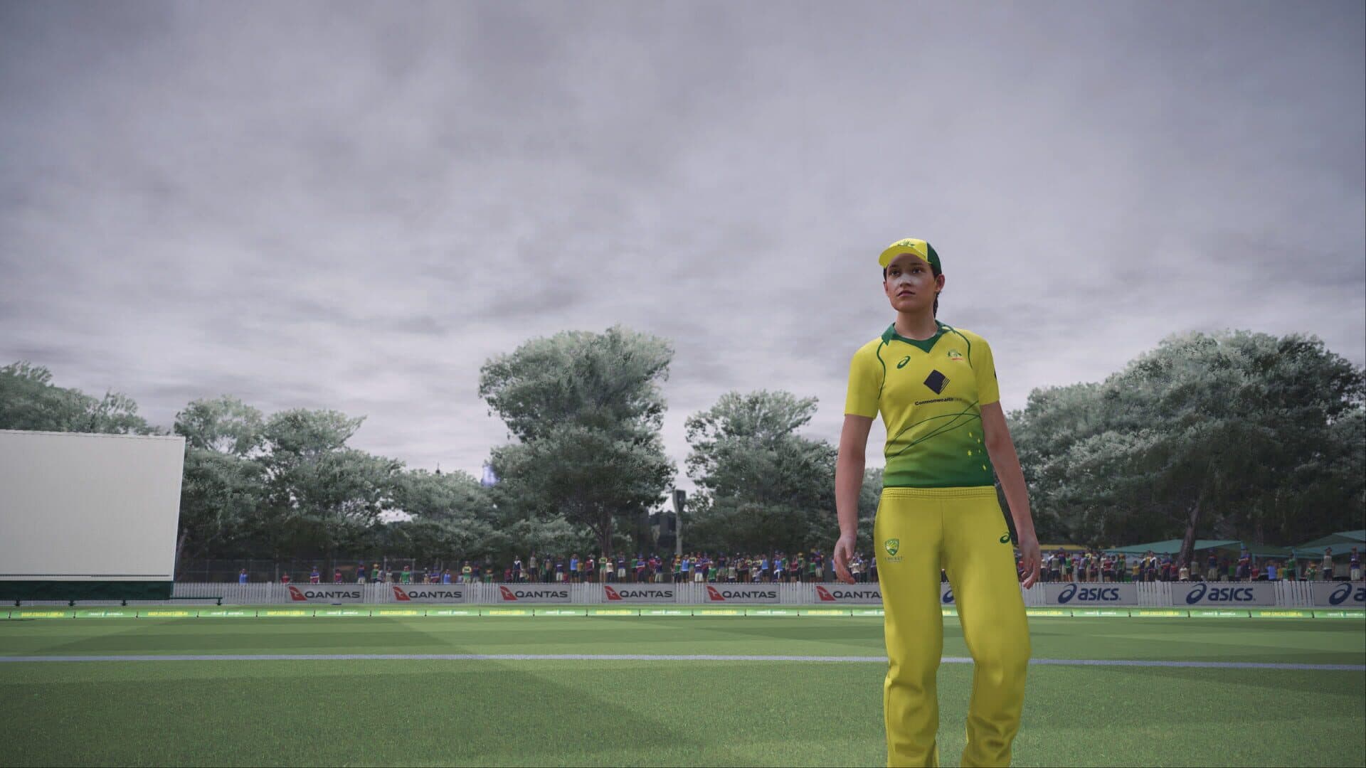 Ashes Cricket screenshot 1