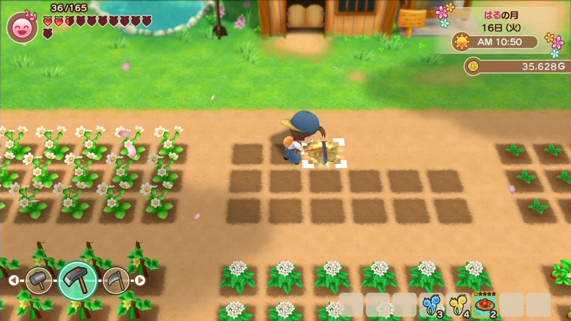 Story of Seasons: Friends of Mineral Town screenshot 0