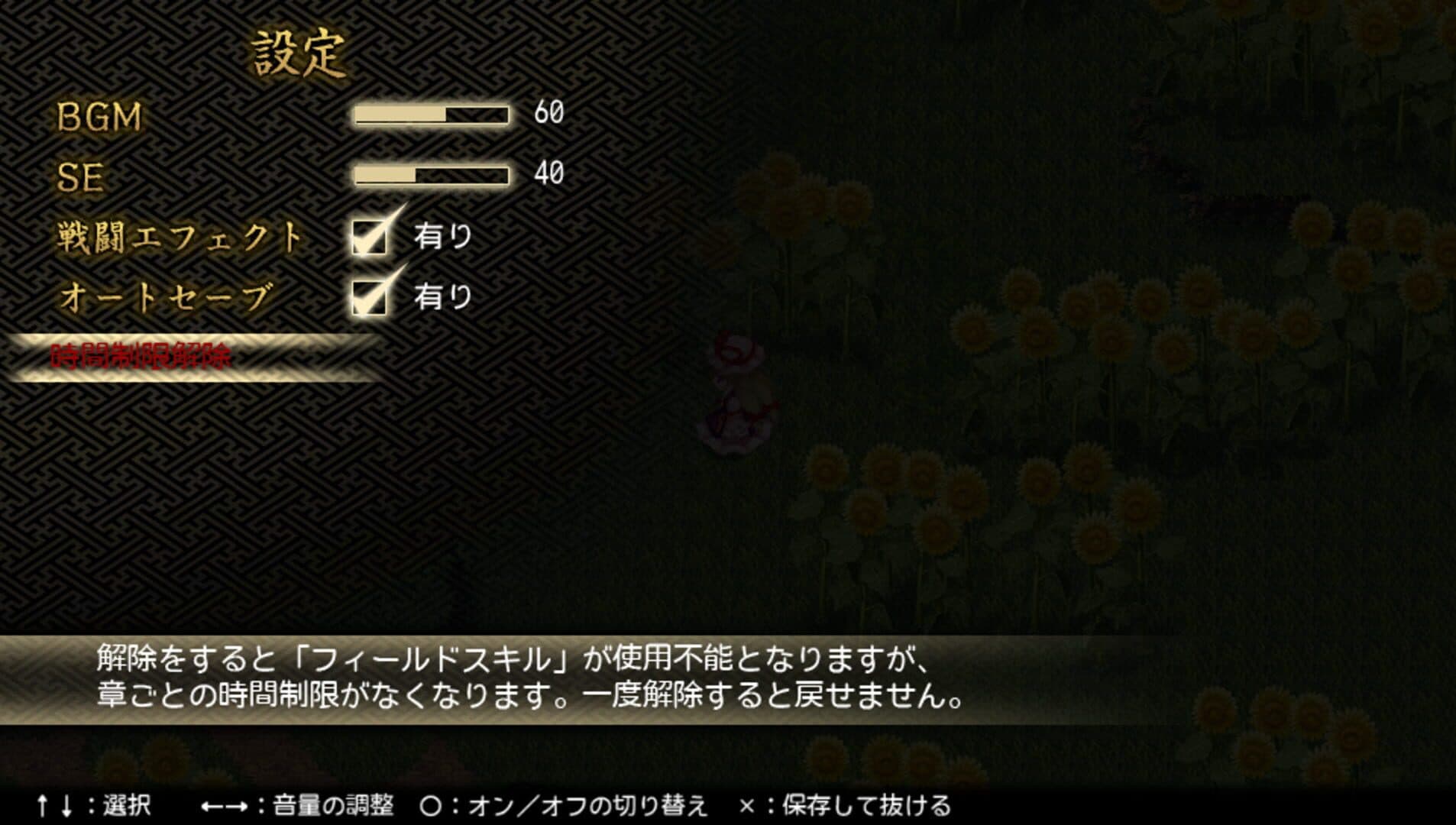 Touhou Genso Maroku W: The Devil of Decline screenshot 4