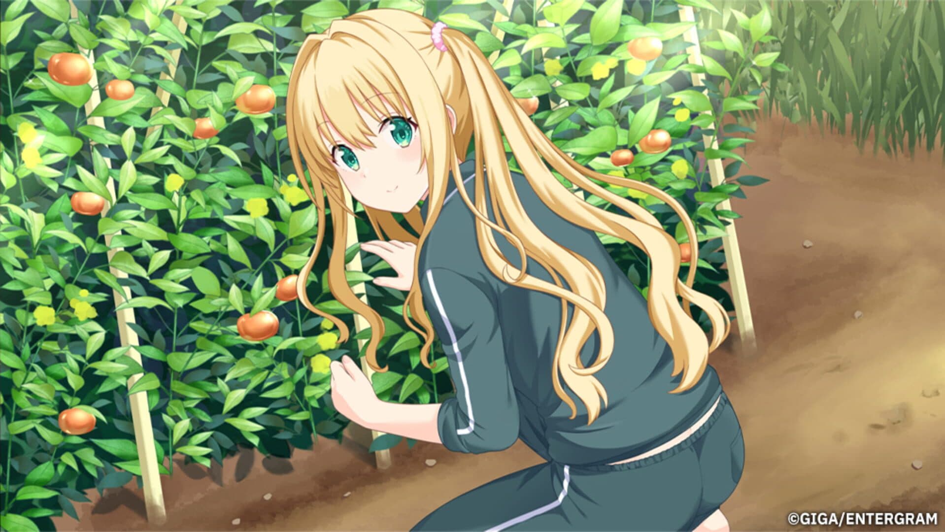 Kono Aozora ni Yakusoku wo: Refine screenshot 0