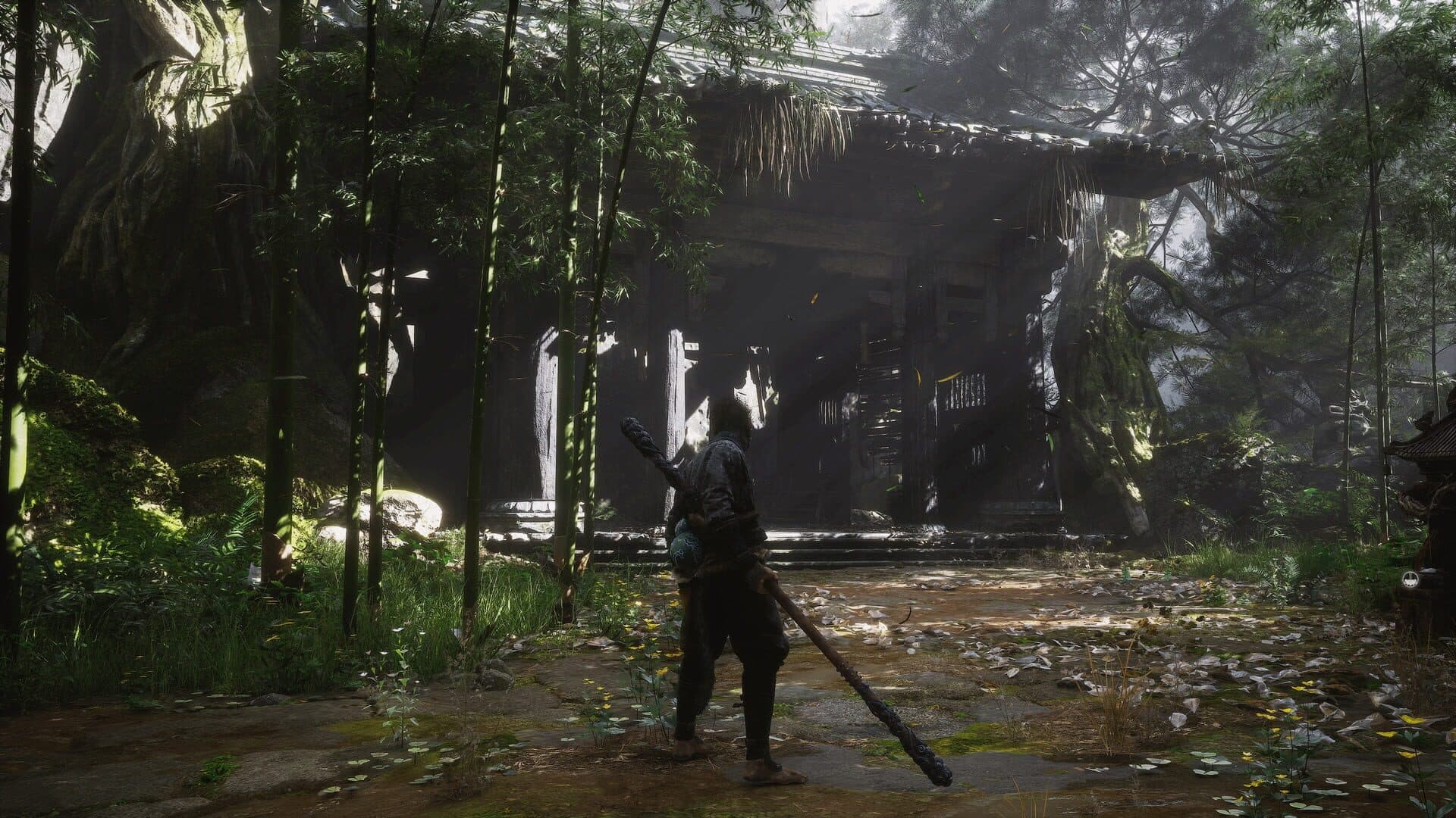 Black Myth: Wukong screenshot 5