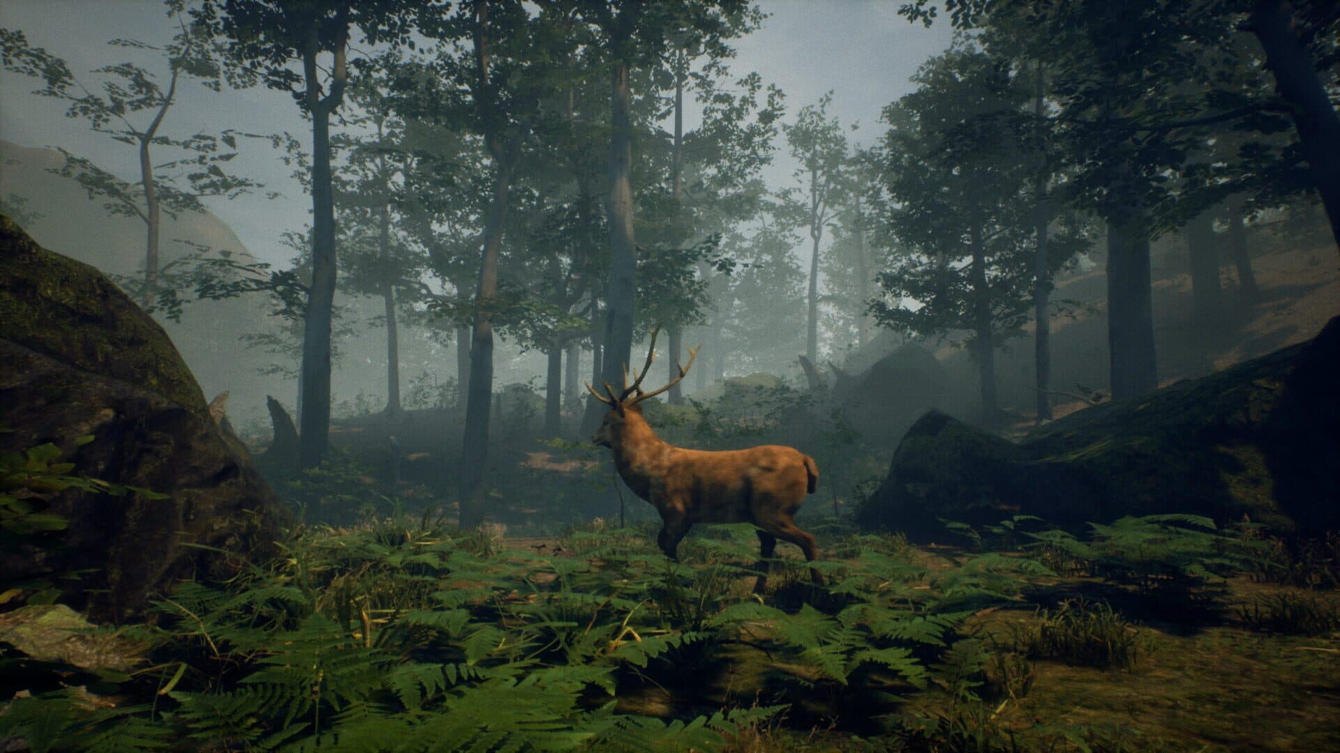 اسکرین‌شات Folklore Hunter - 8