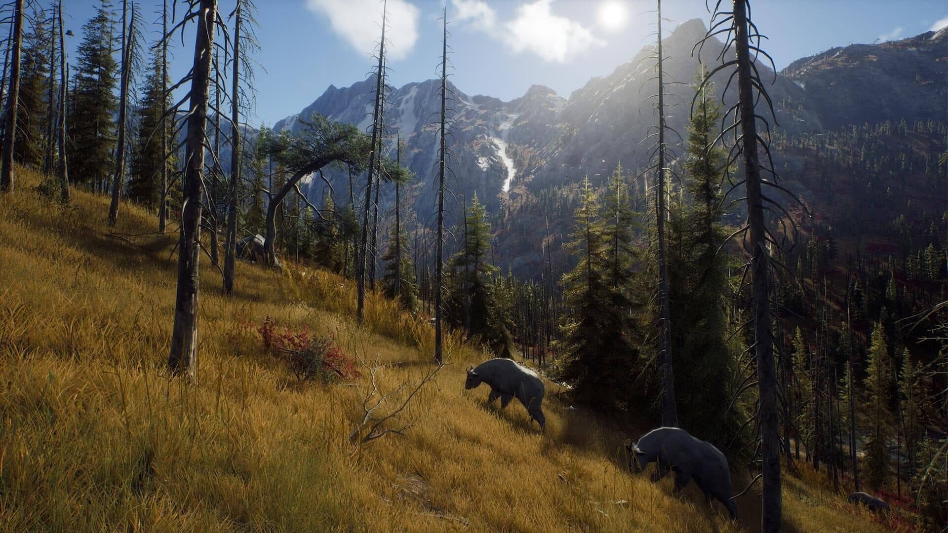 Way of the Hunter screenshot 5