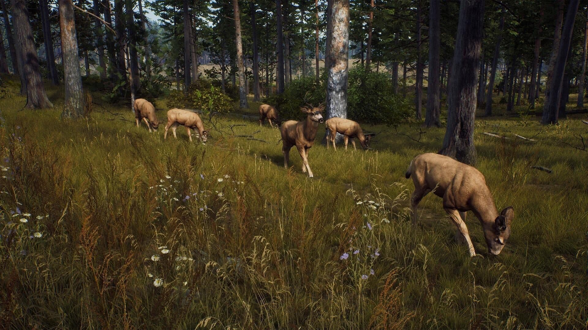 Way of the Hunter screenshot 10
