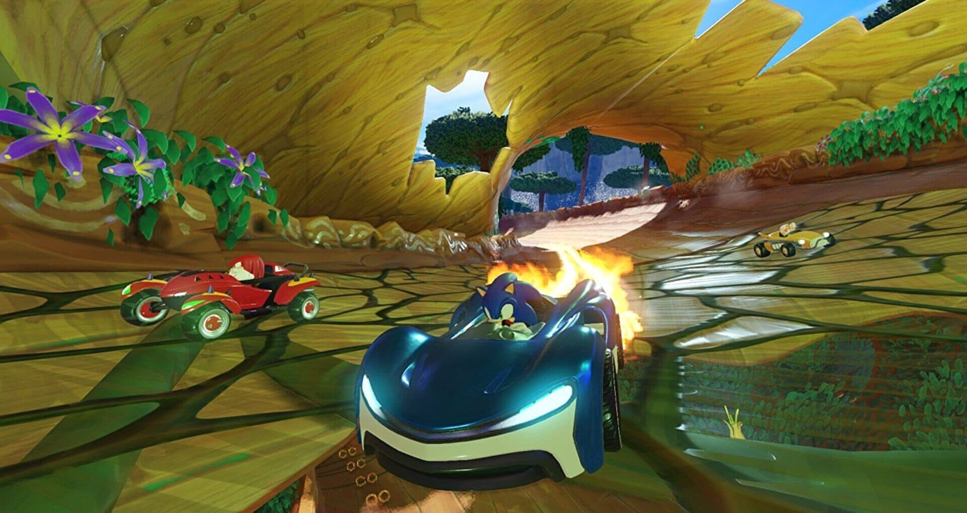 Team Sonic Racing screenshot 6
