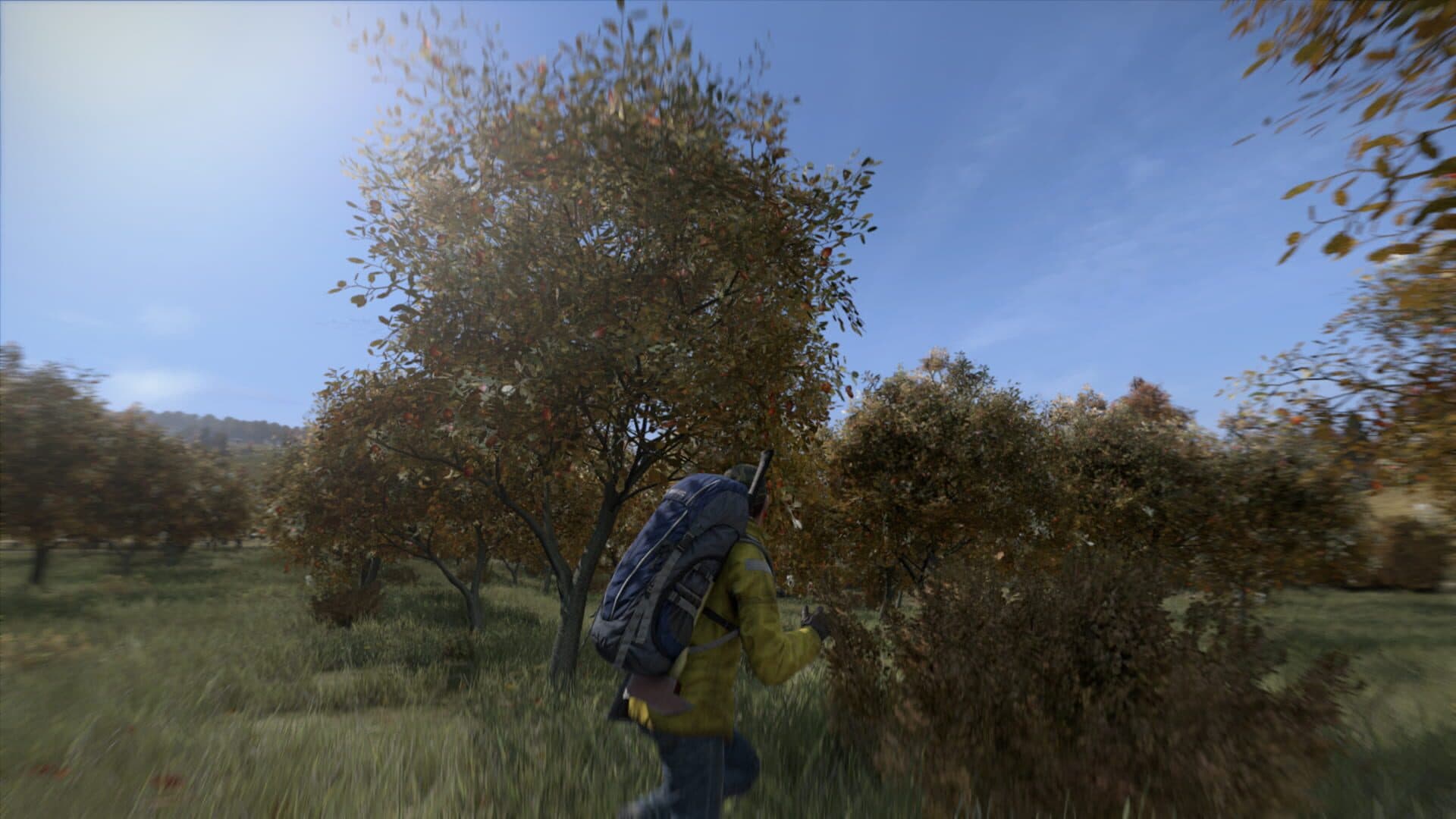 اسکرین‌شات DayZ - 1