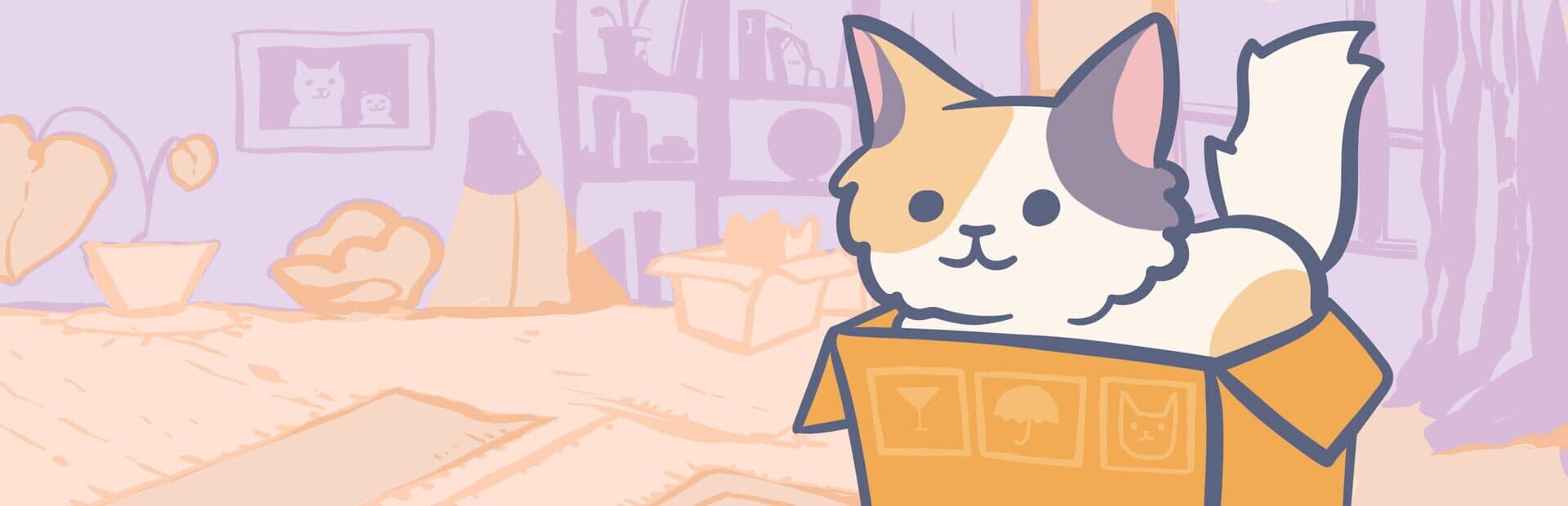 Cats in Boxes