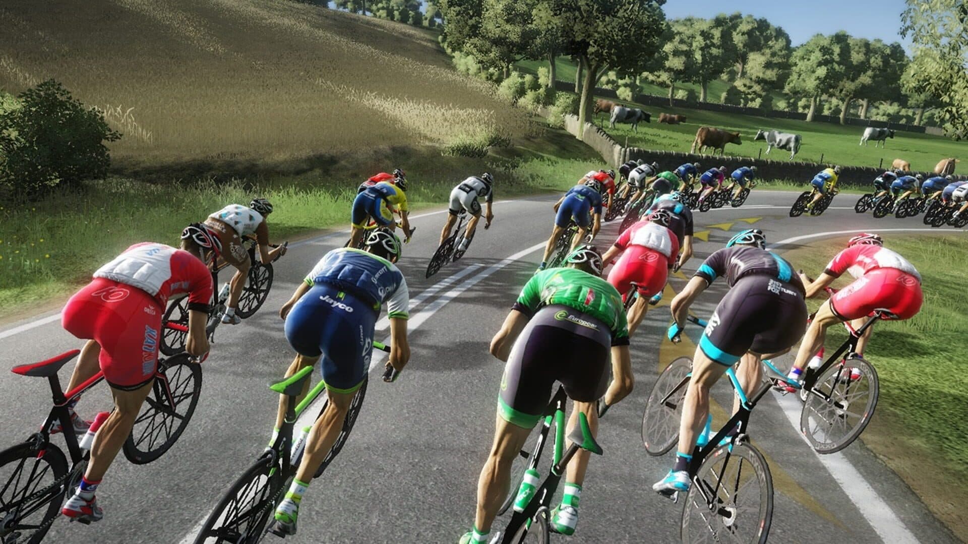 Tour de France 2014 screenshot 0