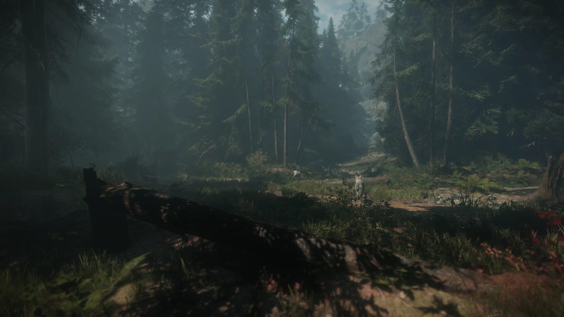 Maid of Sker screenshot 0