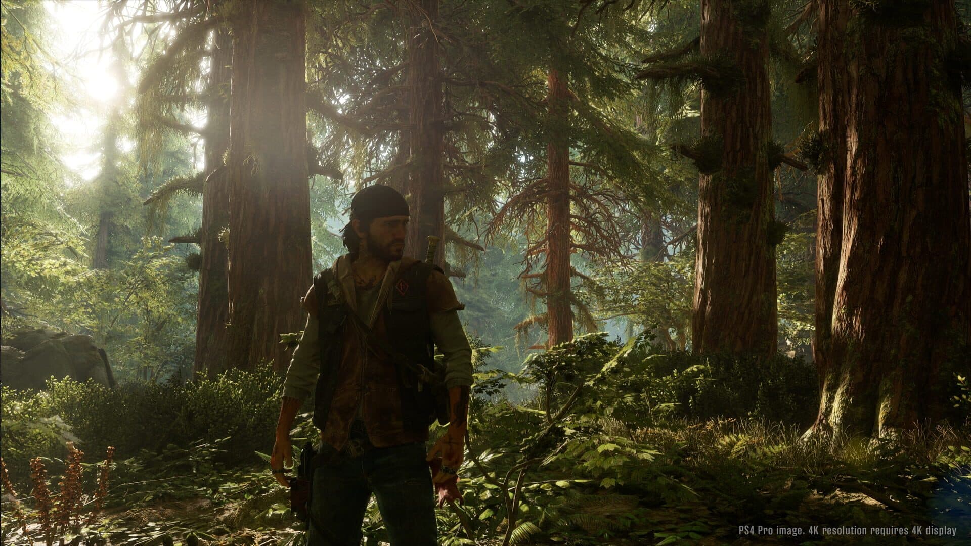 Days Gone screenshot 0