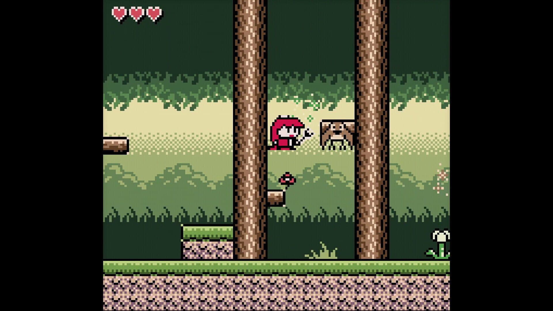 Pokettohiro screenshot 4