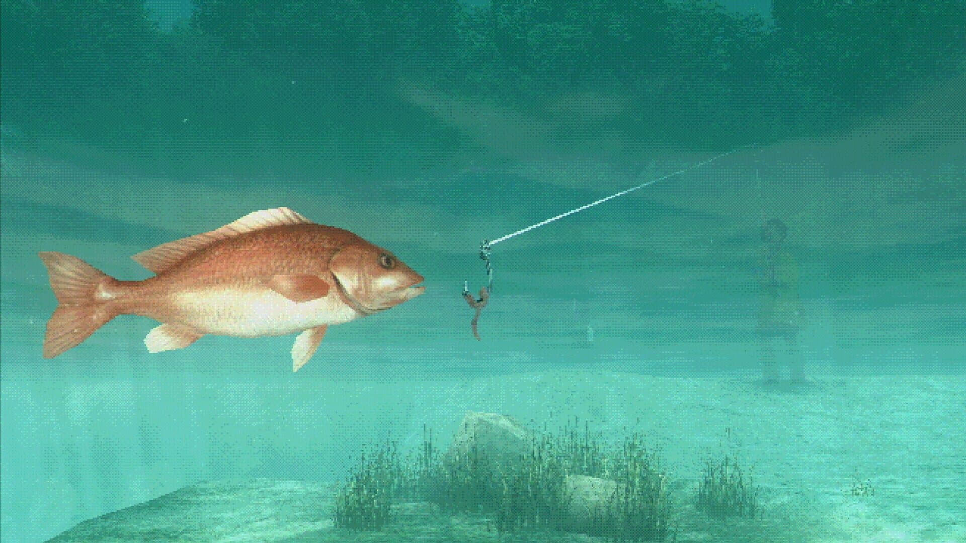 اسکرین‌شات About Fishing - 2