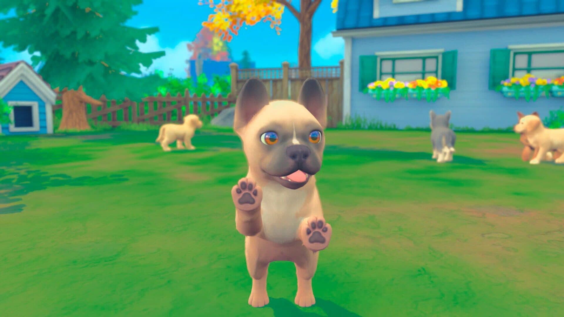 My Universe: Puppies and Kittens screenshot 4