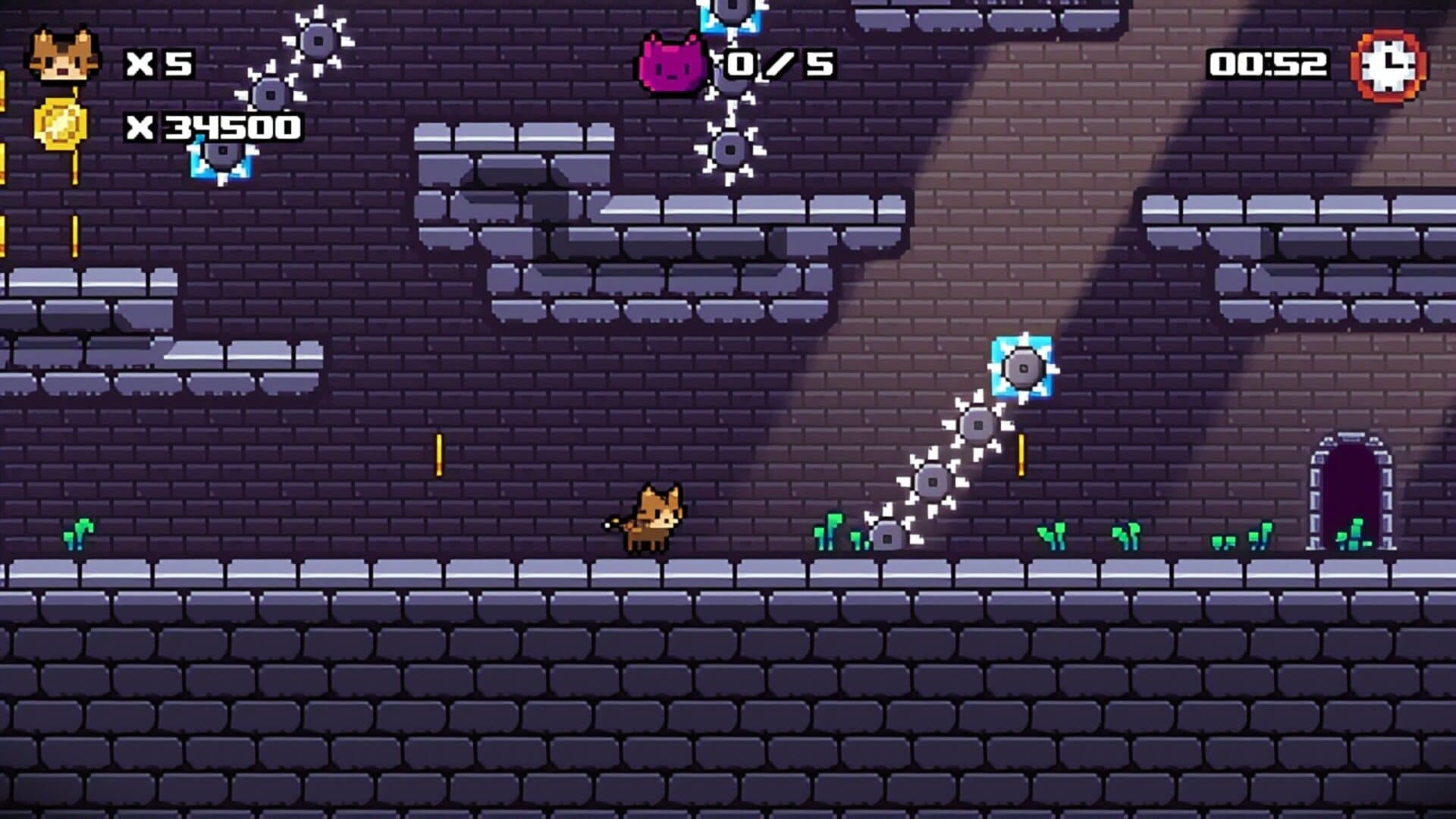 Kitten Island screenshot 0