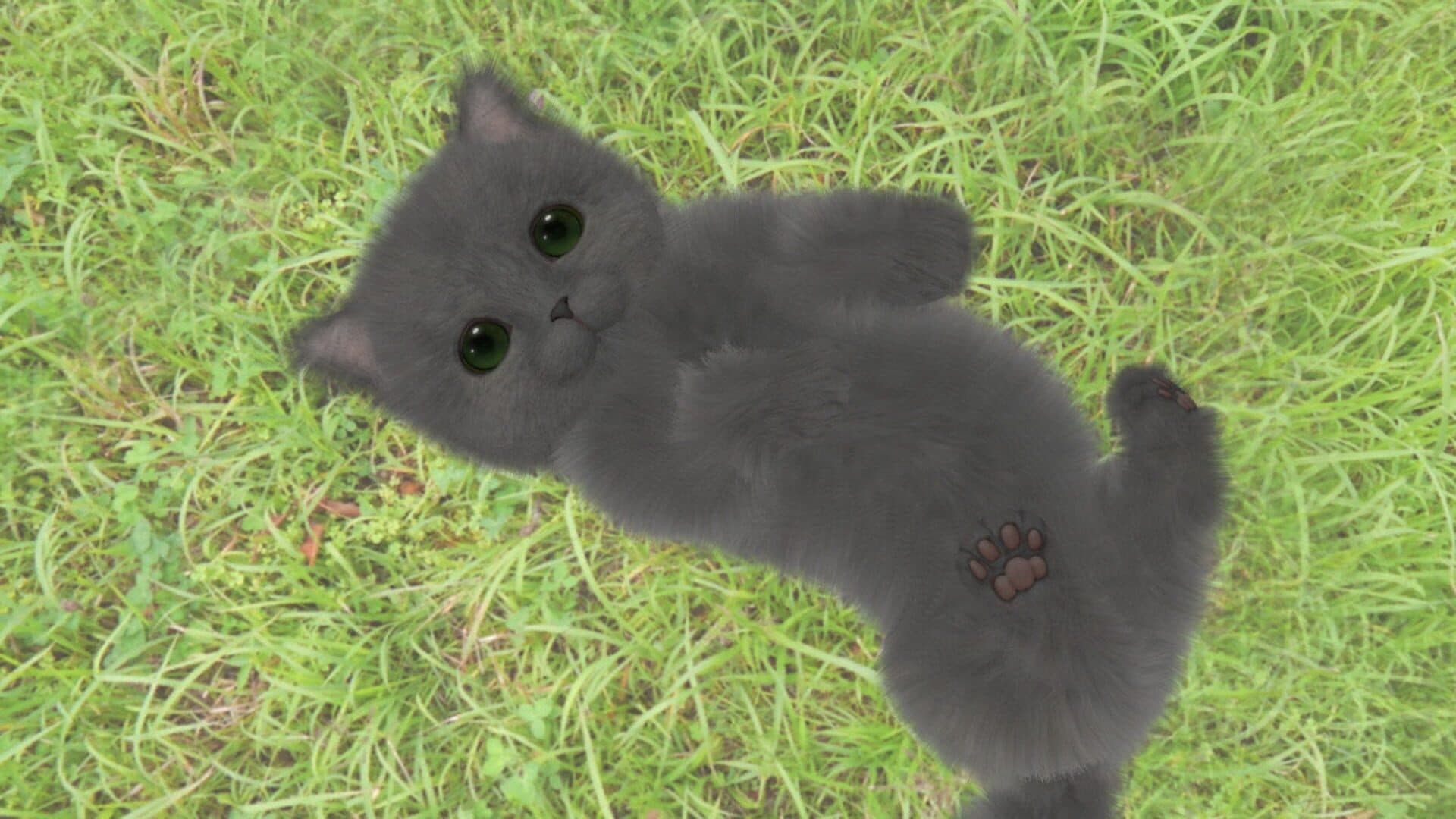 اسکرین‌شات Aabs Animals - 5