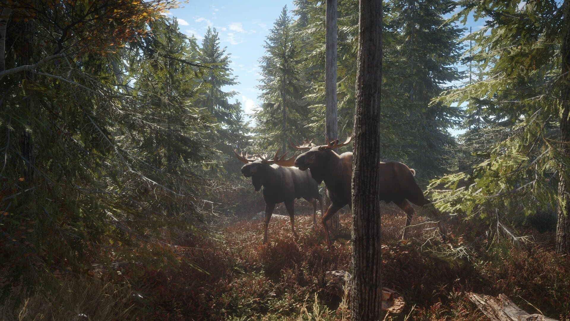 اسکرین‌شات TheHunter: Call of the Wild - 2019 Edition - 10