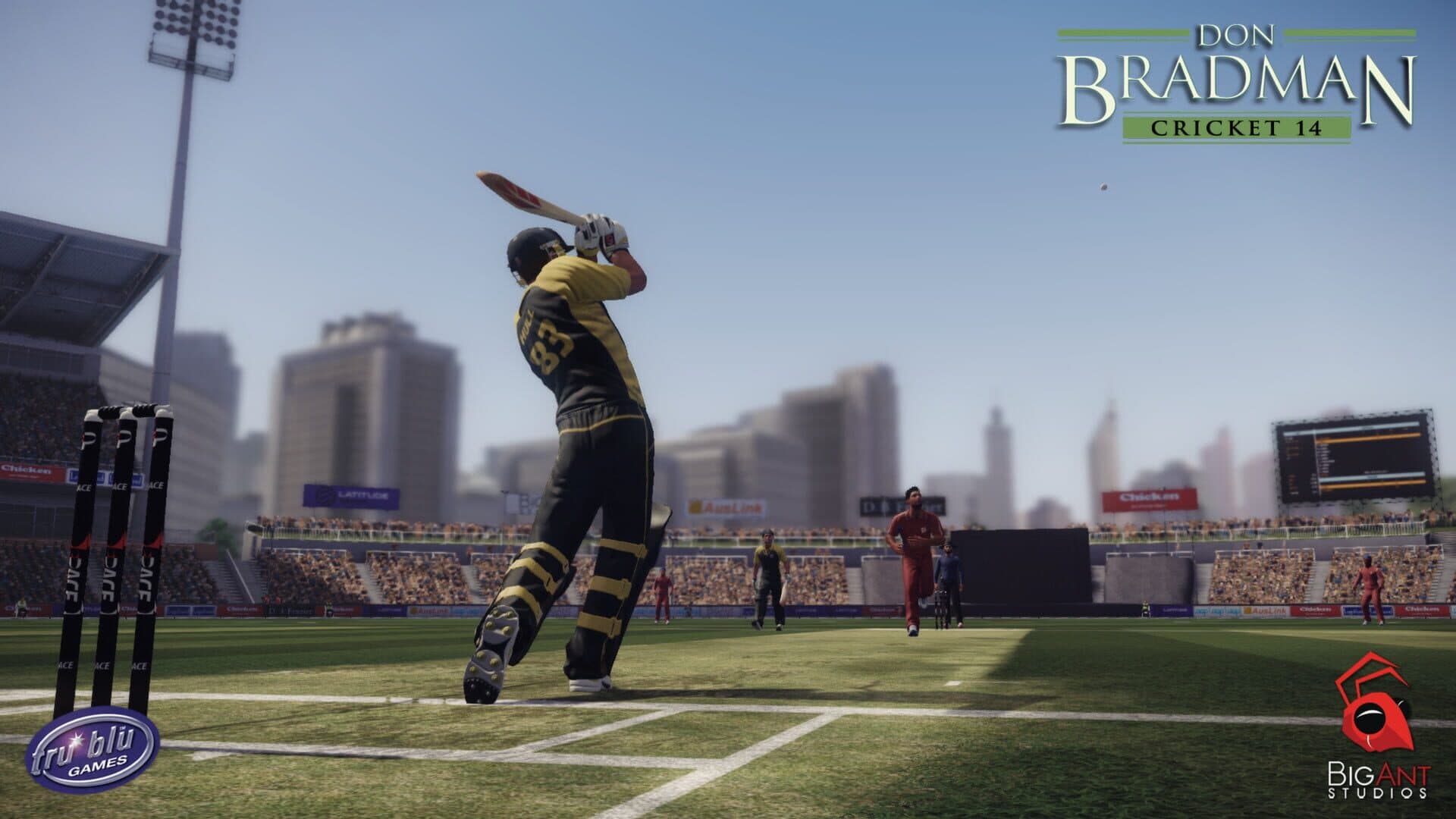 Don Bradman Cricket 14 screenshot 1