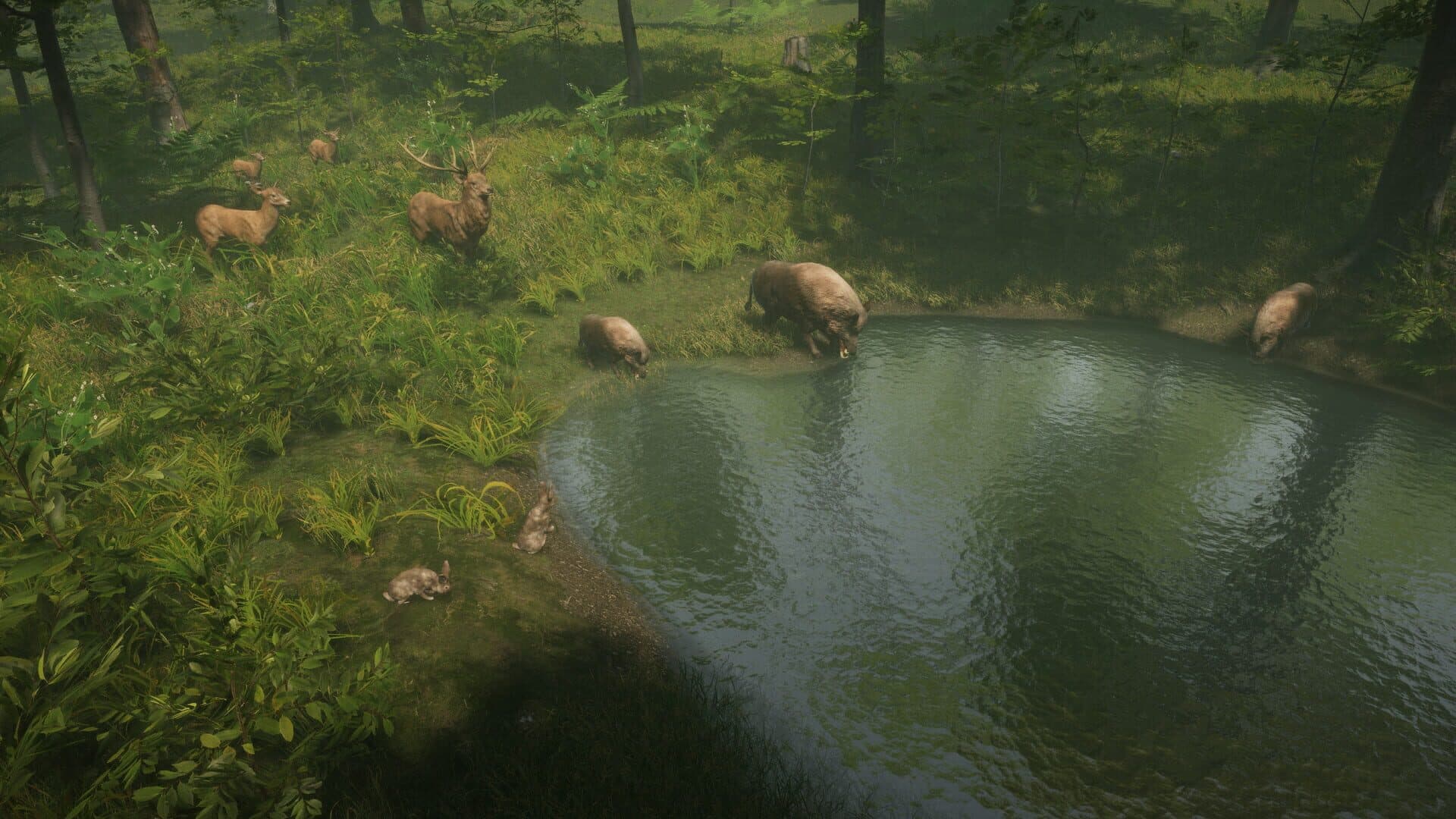 Natural Instincts screenshot 2