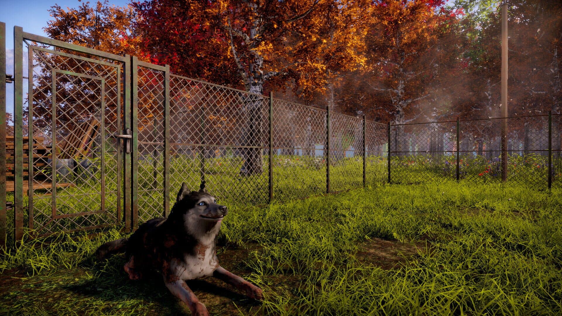 اسکرین‌شات Animal Shelter 2 - 13