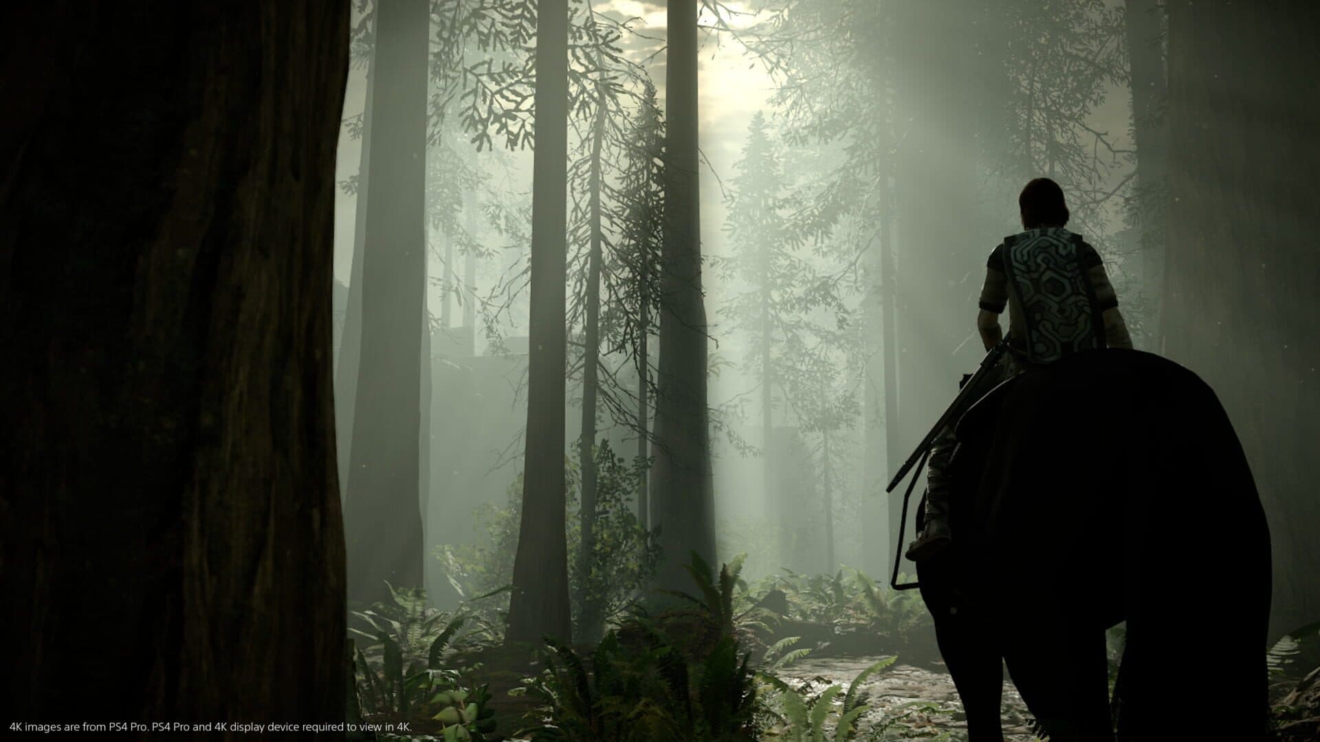 Shadow of the Colossus screenshot 6