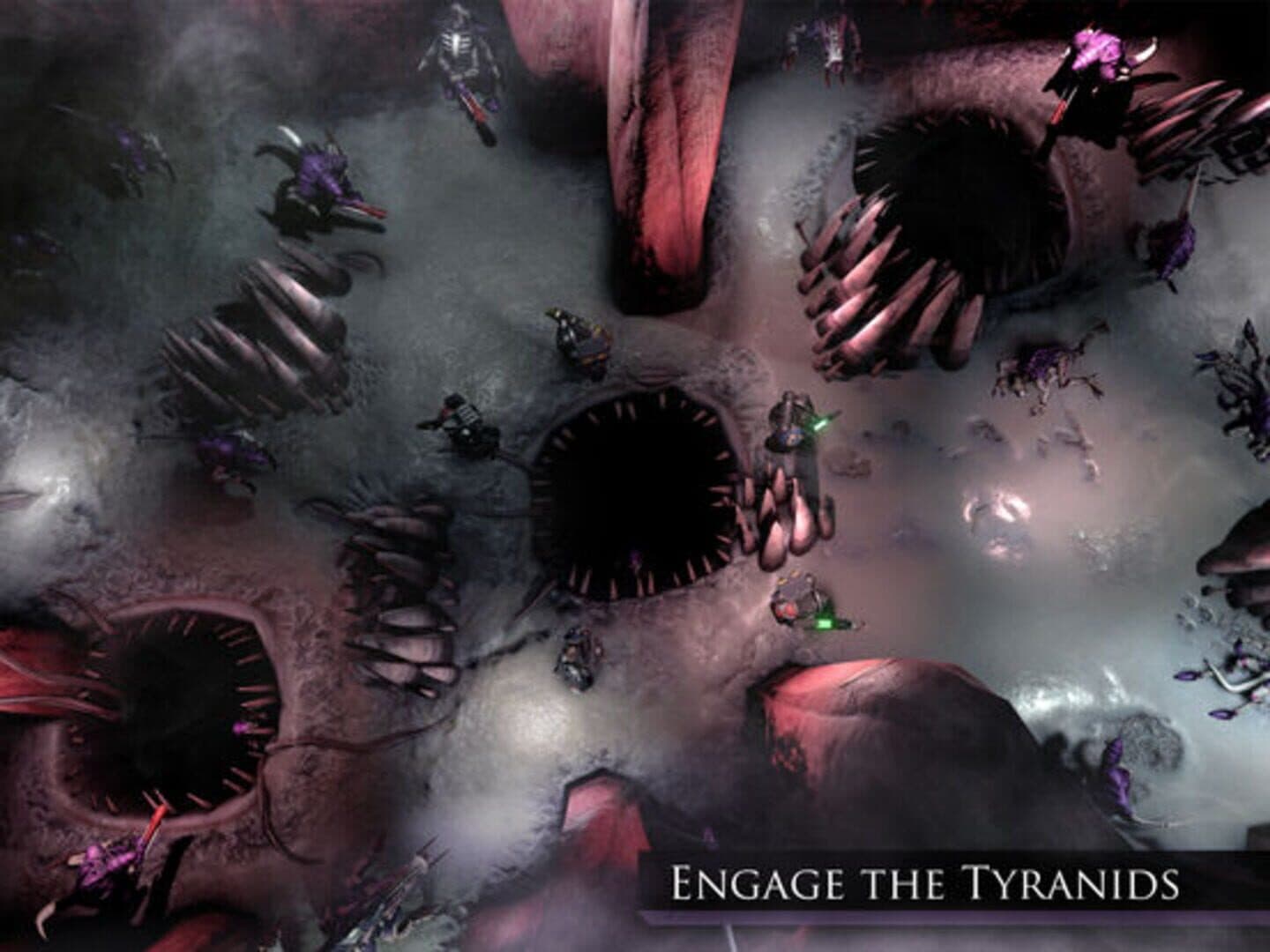 Warhammer 40,000: Deathwatch Tyranids Invasion screenshot 2
