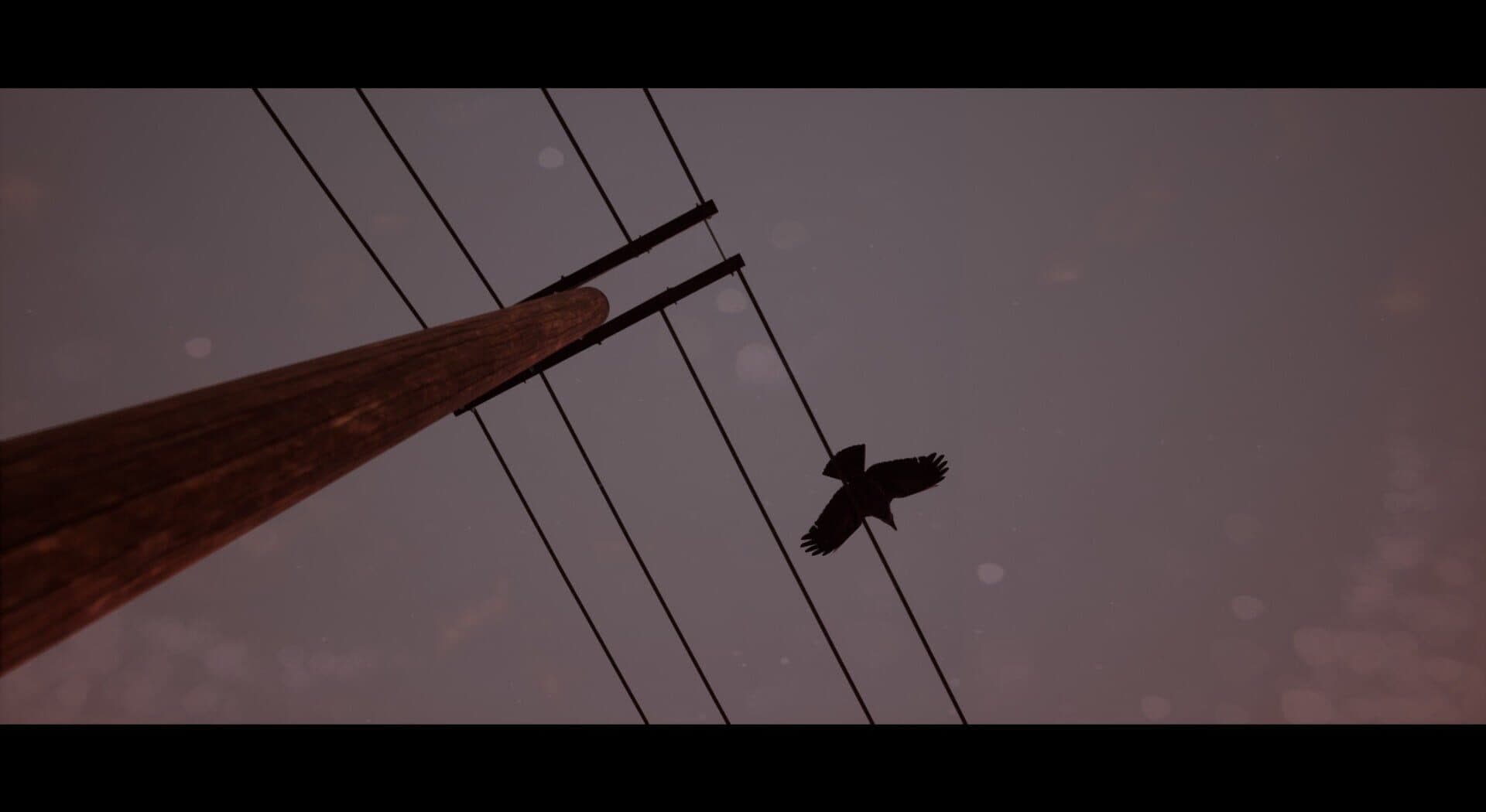 Of Bird and Cage screenshot 7