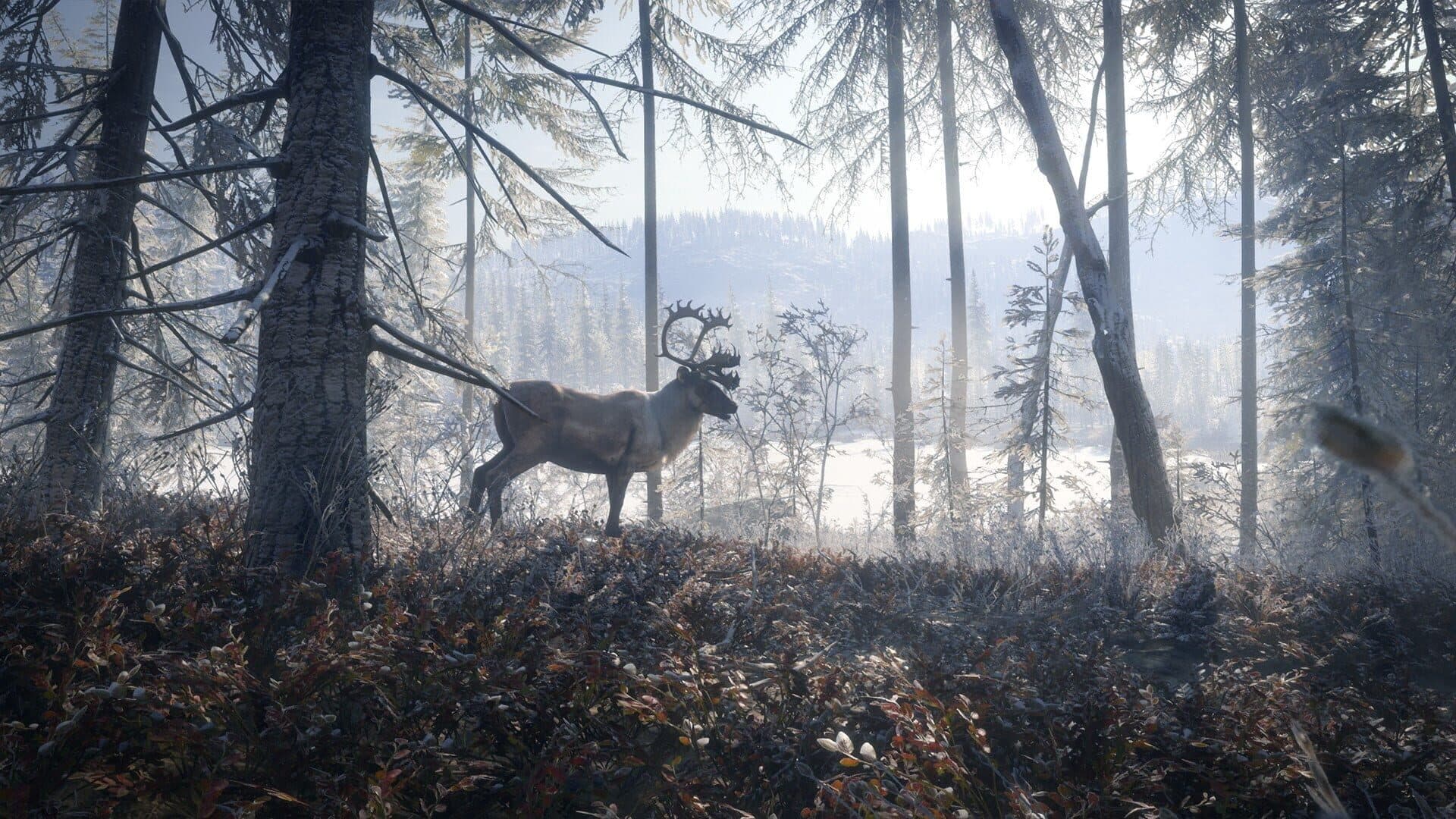 اسکرین‌شات TheHunter: Call of the Wild - 2019 Edition - 4