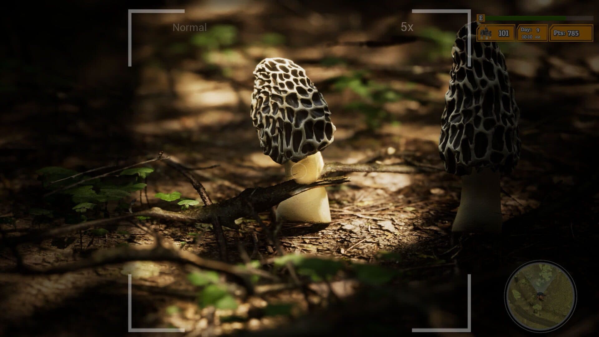 اسکرین‌شات Morels: The Hunt 2 - 7