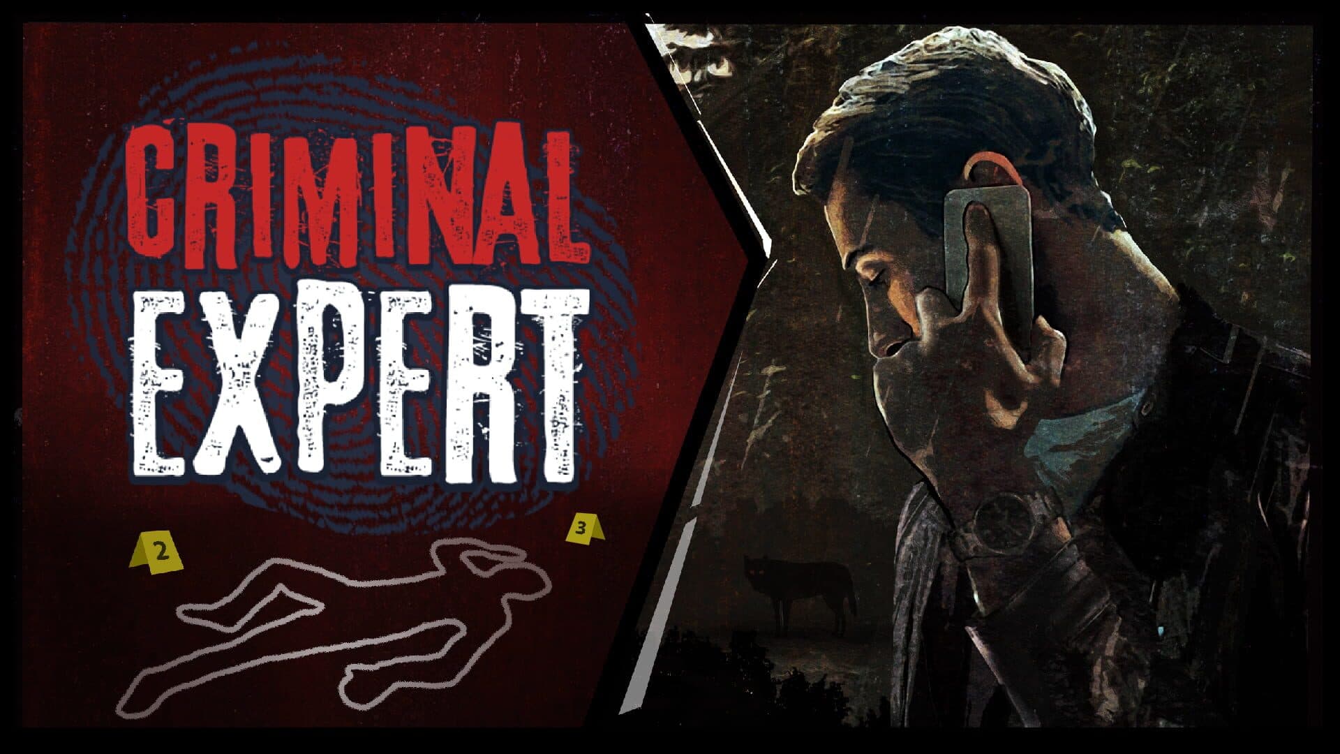 Criminal Expert