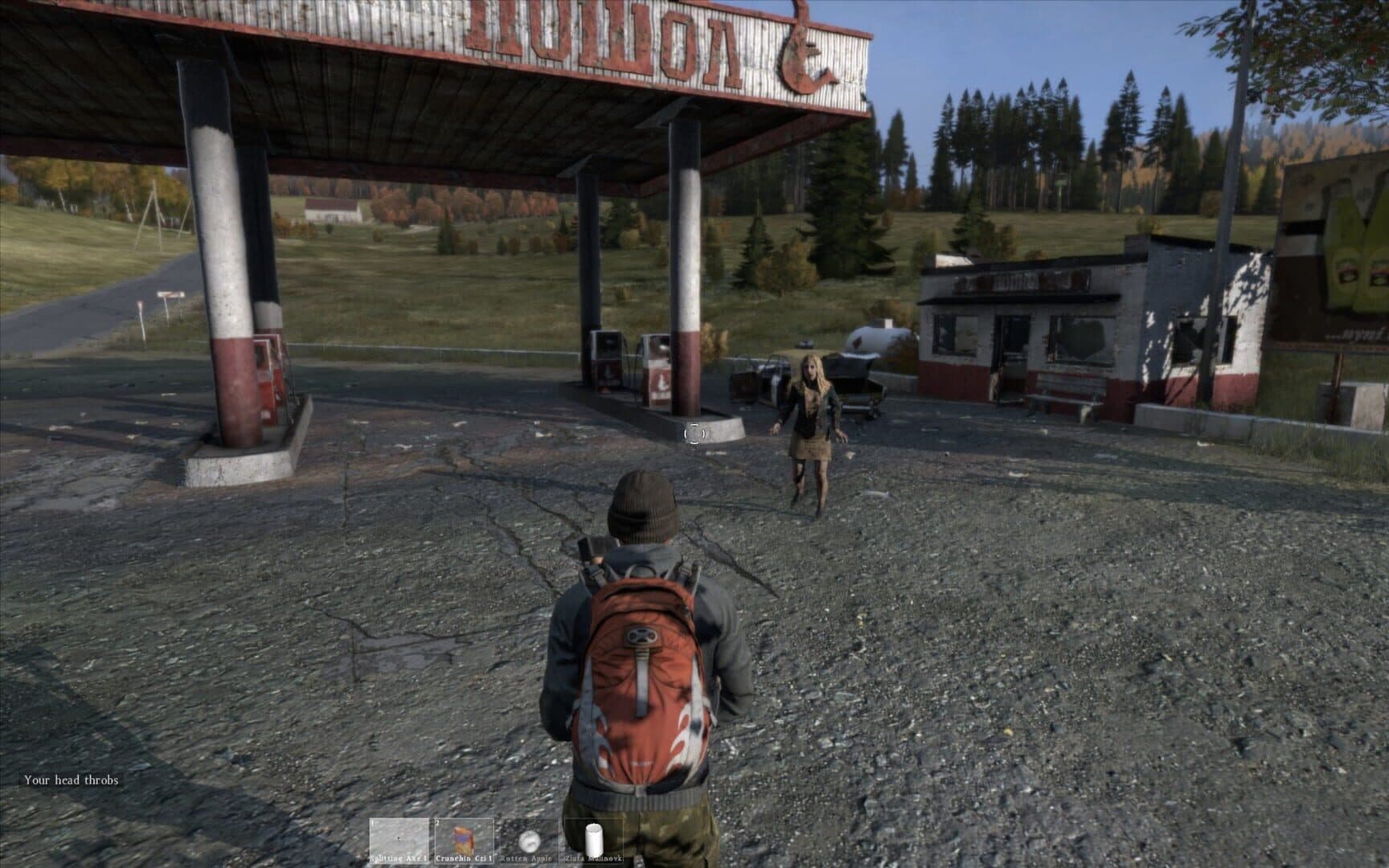 اسکرین‌شات DayZ - 8