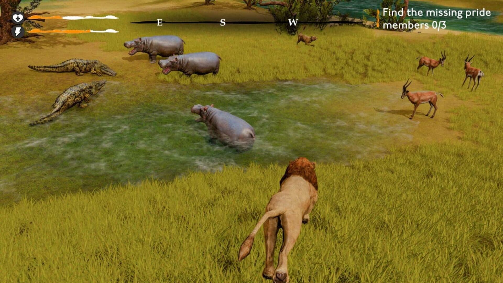 اسکرین‌شات Lion Simulator Survival: RPG Animal Battle - 4