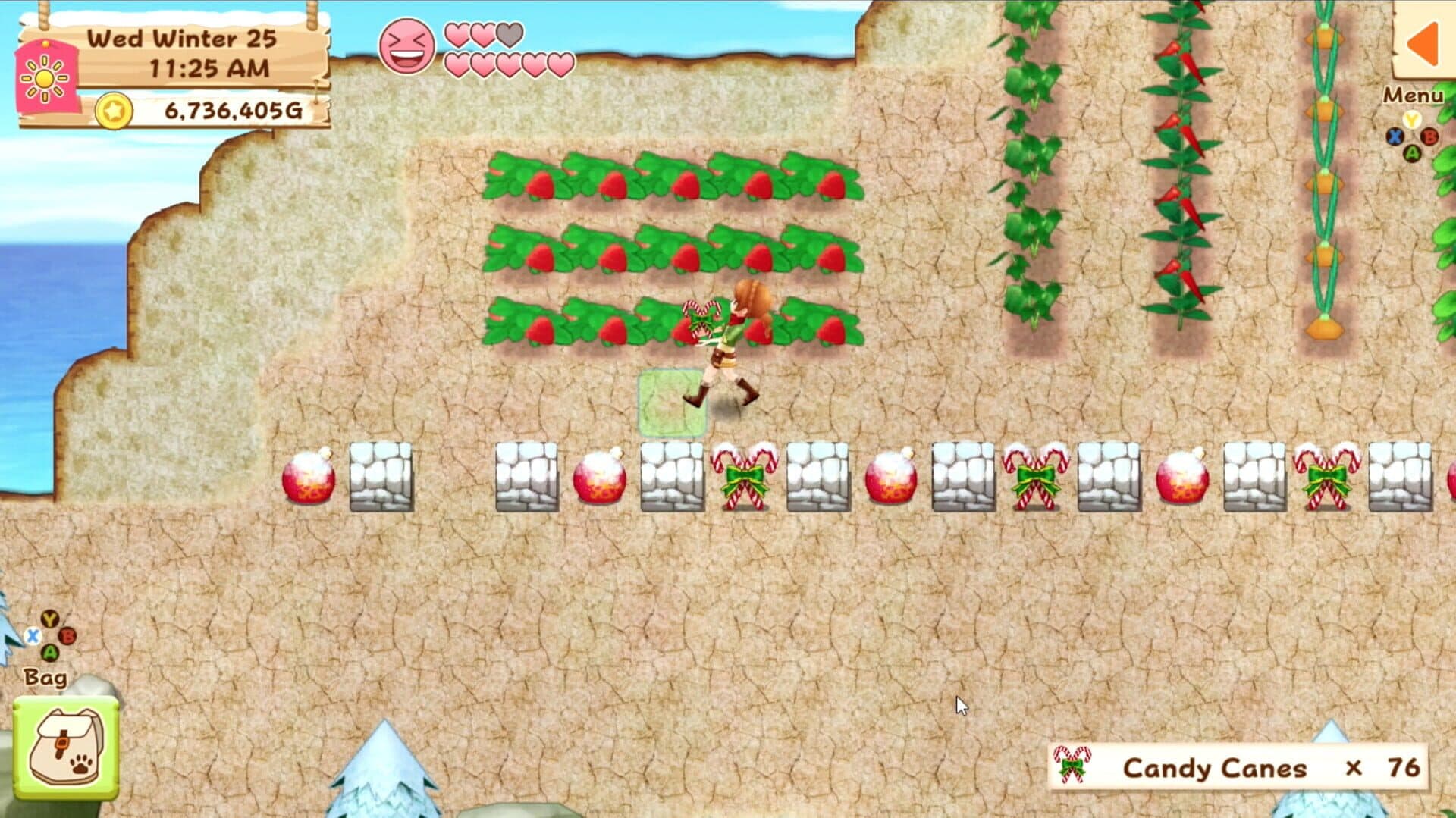 Harvest Moon: Light of Hope screenshot 3