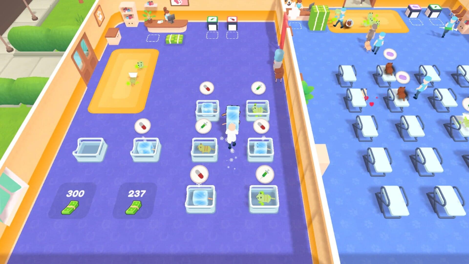 اسکرین‌شات Cat Doctor - 5