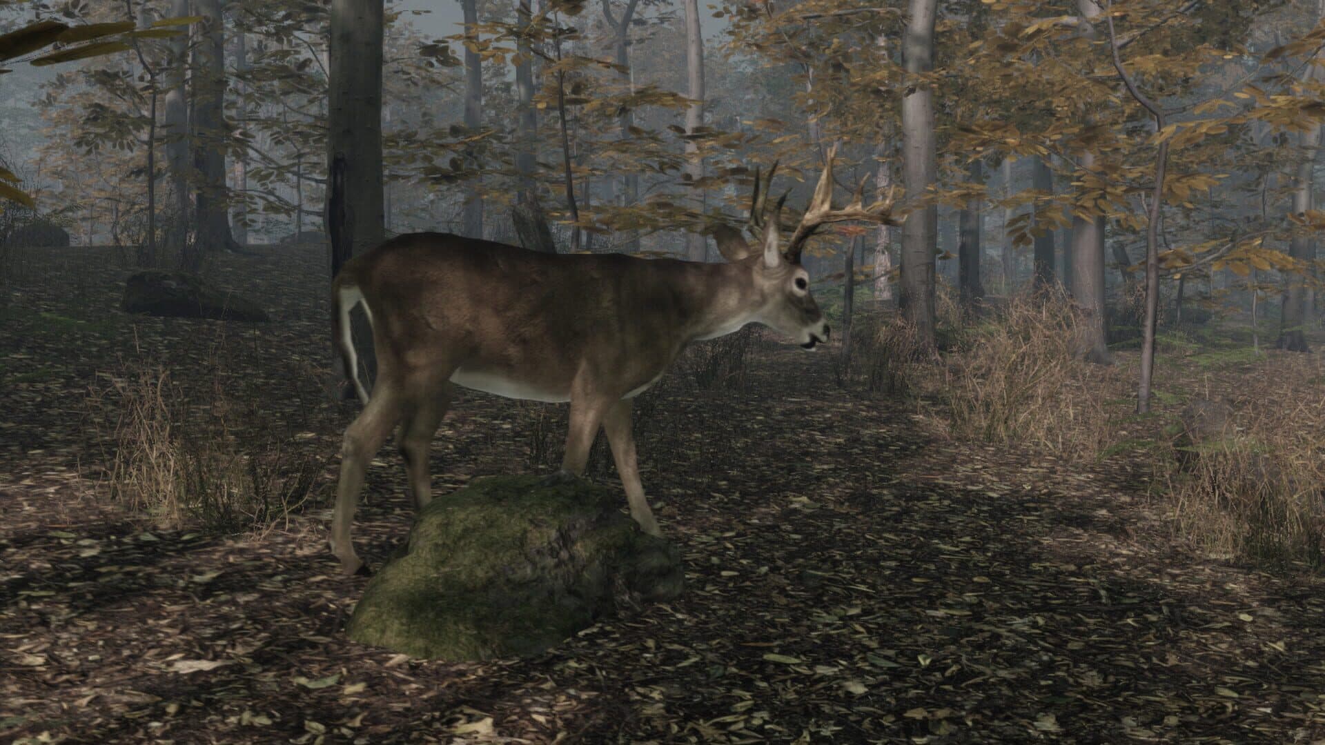 اسکرین‌شات Pro Deer Hunting 2 - 9