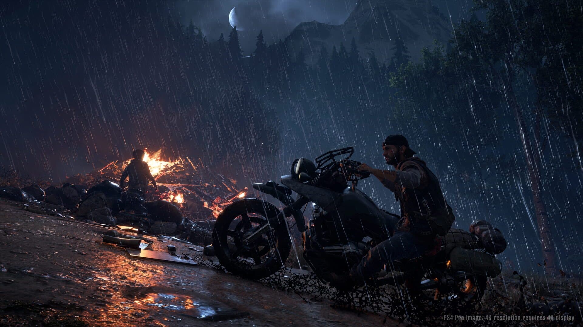 Days Gone screenshot 7