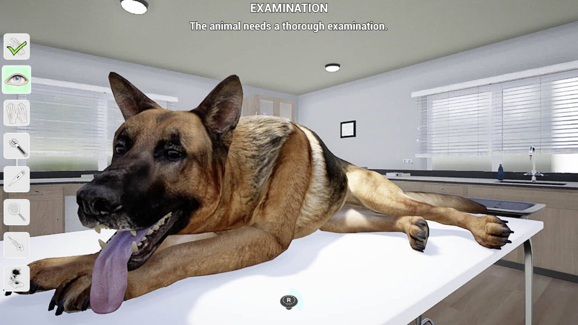 My Life: Pet Vet screenshot 4