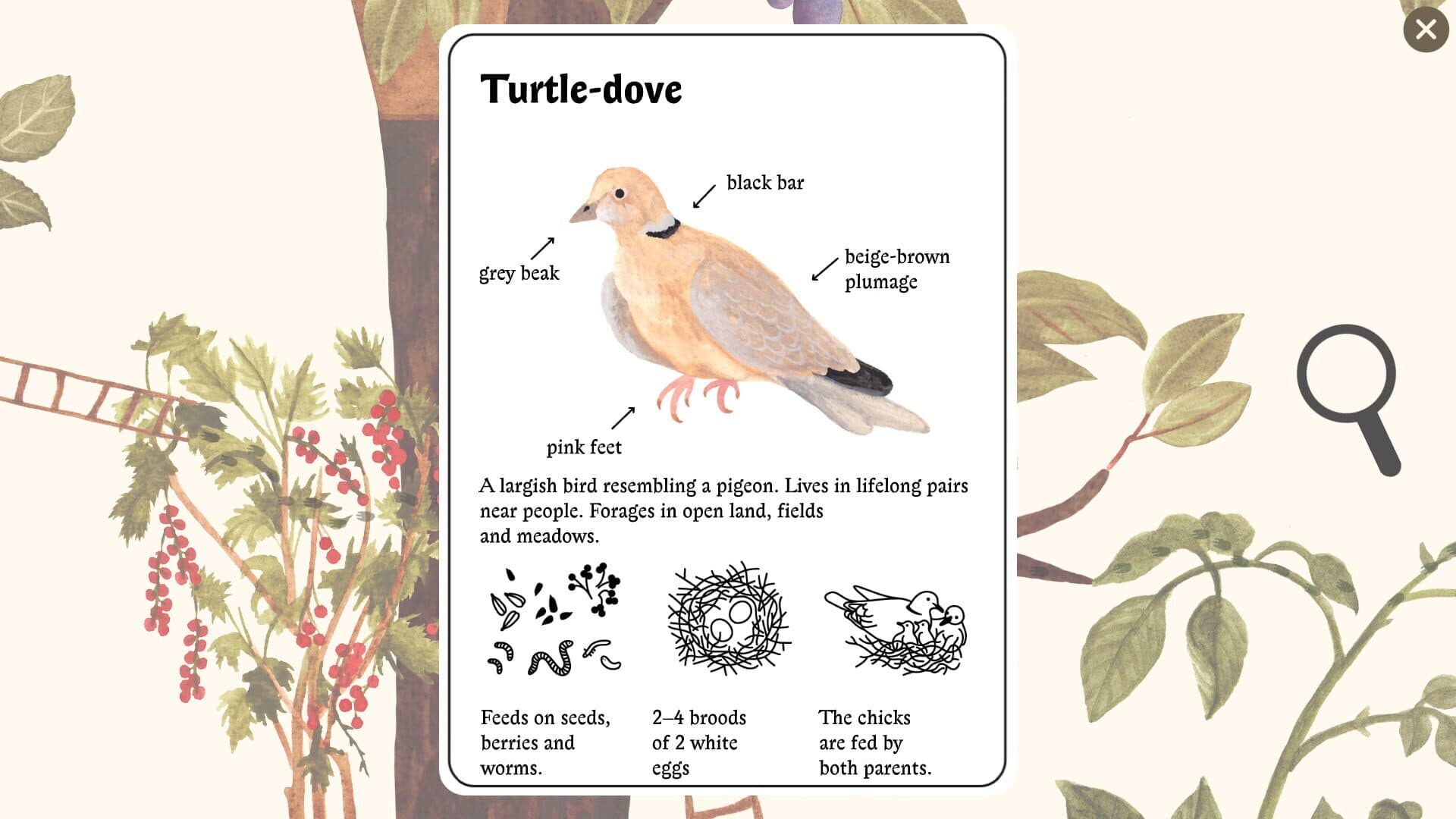 Little Mouse's Encyclopedia screenshot 3