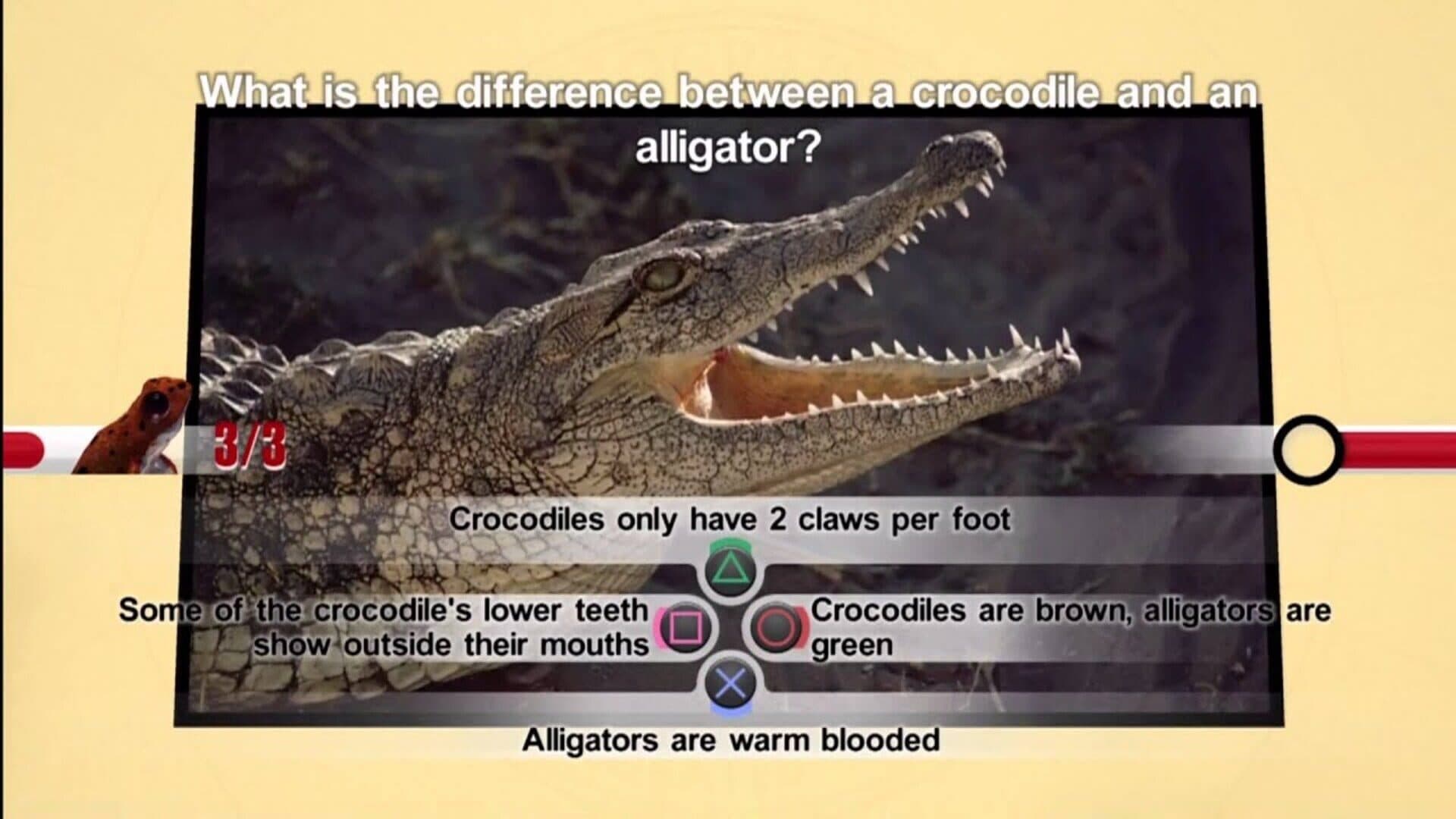 Nat Geo Challenge! Wild Life screenshot 3