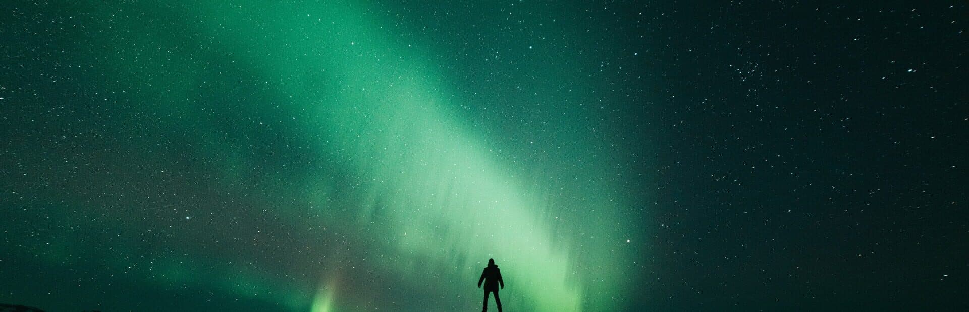 The Green Light