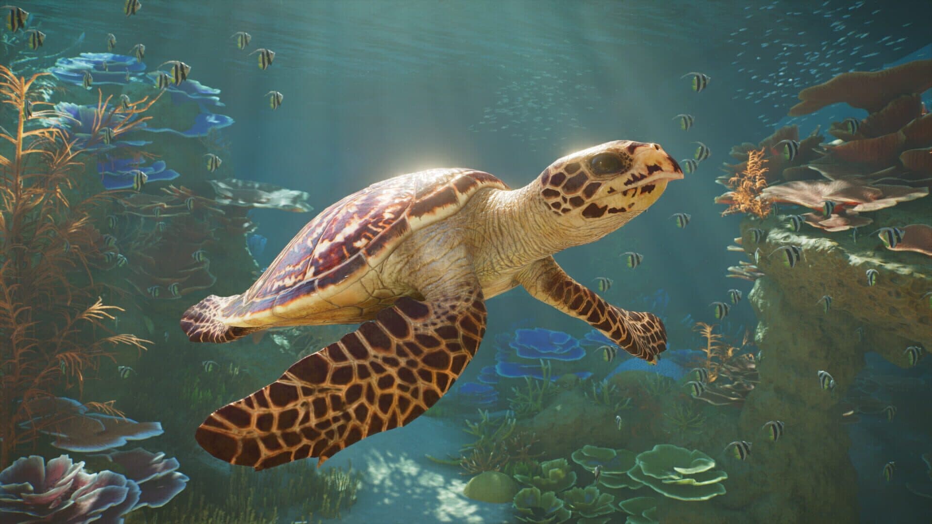 اسکرین‌شات Planet Zoo 2 - 1