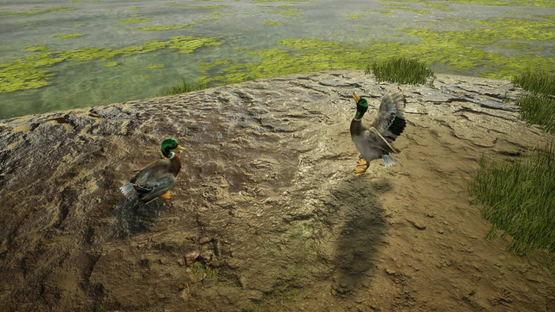 Animal Doctor screenshot 2