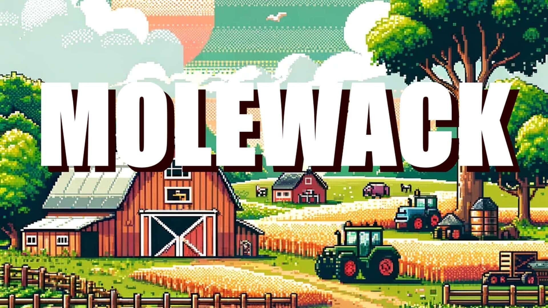 اسکرین‌شات Molewack - 1