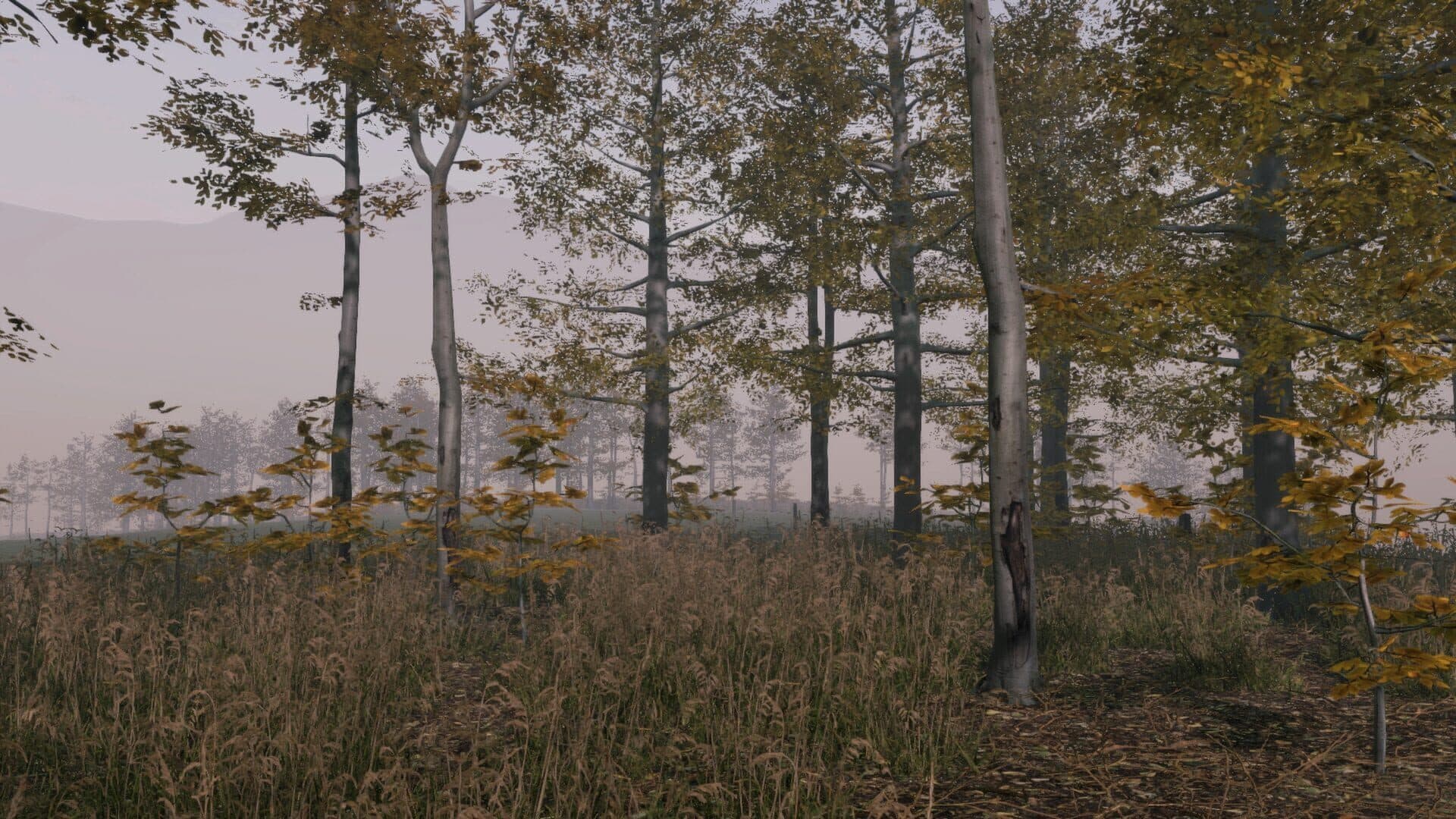 اسکرین‌شات Pro Deer Hunting: Out West - 2